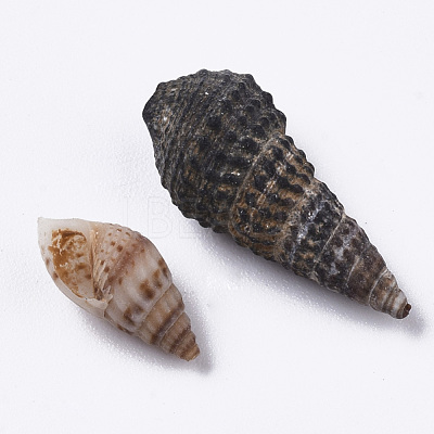 Natural Spiral Shell Beads SSHEL-S258-85-1