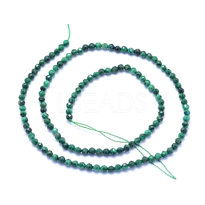 Natural Malachite Beads Strands G-I279-E15-02-1