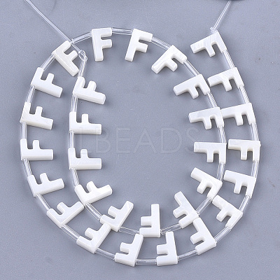 Natural Freshwater Shell Beads SHEL-T012-59F-1
