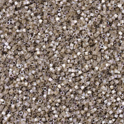 MIYUKI Delica Beads X-SEED-J020-DB0680-1