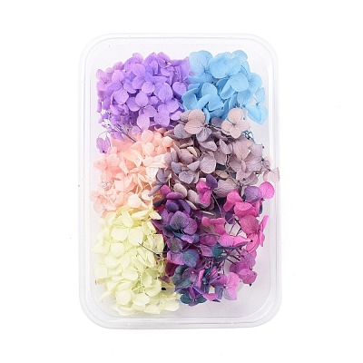 Dried Flowers DIY-D052-17-1