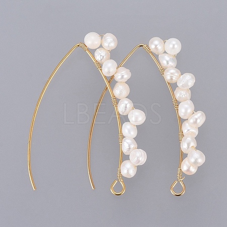 PVD Vacuum Plating 304 Stainless Steel Earring Hooks X-EJEW-JE03759-1