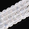 Natural Agate Beads Strands G-T144-50A-01-4