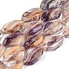 Handmade Lampwork Beads Strands LA-N046-02M-1