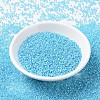 MIYUKI Round Rocailles Beads X-SEED-G007-RR0647-2