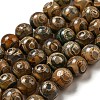 Tibetan Style dZi Beads Strands G-P526-D03-01-1