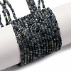 Natural Sapphire Beads Strands G-F803-A01-01B-2