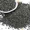 Electroplate Glass Seed Beads SEED-H003-10D-1