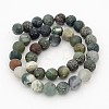 Frosted Round Natural Moss Agate Beads Strands G-J338-04-10mm-2