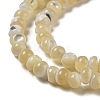 Natural Trochus Shell Beads Strands SSHEL-H072-13A-3