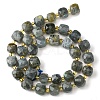 Natural Labradorite Beads Strands G-Q010-A25-01-3