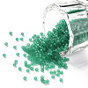 12/0 Grade A Round Glass Seed Beads X-SEED-Q006-M20-1