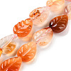 Natural Agate Carved Beads Strands G-H024-B01-01-2