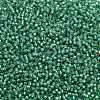 TOHO 11/0 Round Beads SEED-XTR11-2119-2