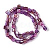 Dyed Natural Freshwater Shell Beads Strands SHEL-P016-01D-2