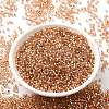 Glass Seed Beads SEED-S042-04B-17-2