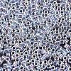 MIYUKI Delica Beads X-SEED-J020-DB0051-2