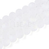 Frosted Transparent Glass Beads Strands GLAA-T032-T10mm-MBB13-2