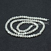 Natural White Moonstone Beads Strands X-G-P342-02A-4mm-AA-2