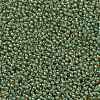 TOHO Round Seed Beads SEED-XTR11-0380-2