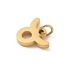 304 Stainless Steel Charms STAS-R001-04G-02-2