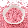 Baking Paint Glass Seed Beads SEED-S042-05B-86-2