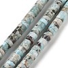 Natural Larimar Beads Strands G-Q024-B03-04-1