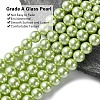 Eco-Friendly Dyed  Glass Pearl Round Bead Strands HY-A002-8mm-RB065-3
