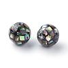 Natural Paua Shell Beads SSHEL-Q298-10mm-09-2