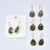 Natural Gemstone Dangle Earrings EJEW-L228-01-2