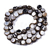 Natural Freshwater Shell Beads Strands SHEL-S276-110B-01-2