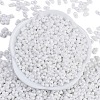 Baking Paint Glass Seed Beads SEED-K010-A03-3