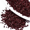 FGB 11/0 Grade A Glass Seed Beads SEED-S030-1212-1