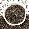 Electroplate Glass Seed Beads SEED-H003-10G-3