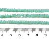 Natural Freshwater Shell Beads Strands SHEL-P017-01B-08-4