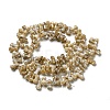 Natural Freshwater Shell Beads Strands SHEL-C005-03-2