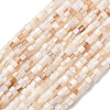 Natural Freshwater Shell Beads Strands SHEL-K006-72A-1