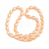 Electroplate Glass Beads Strands EGLA-G037-13A-PL01-2