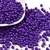 Baking Paint Glass Seed Beads SEED-H002-I-B516-1