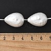Electroplated Shell Pearl Beads Strands BSHE-F013-13-01-4