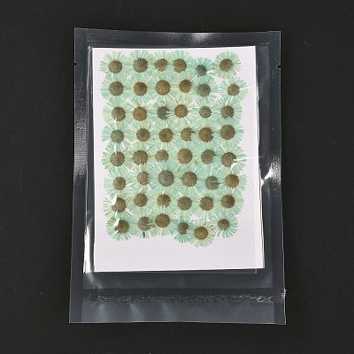 Centaurea Iberica Embossing Dried Flower DIY-K032-65H-1