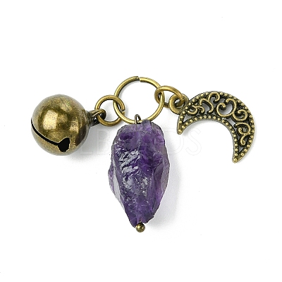 Natural Amethyst Pet Collar Charms HJEW-PH01731-1