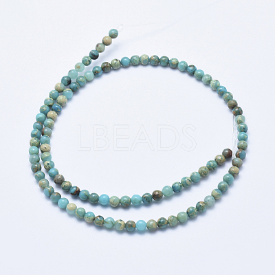 Natural Aqua Terra Jasper Beads Strands G-E444-14A-4mm-1
