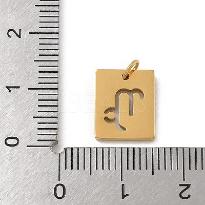 304 Stainless Steel Charms STAS-R001-03G-10-1