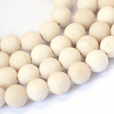 Frosted Natural Fossil Round Bead Strands X-G-E334-8mm-22-1