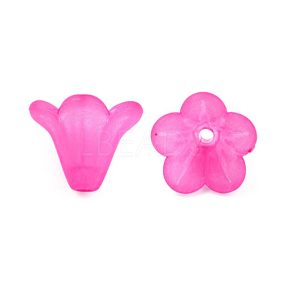 Frosted Acrylic Beads PL692-3-1