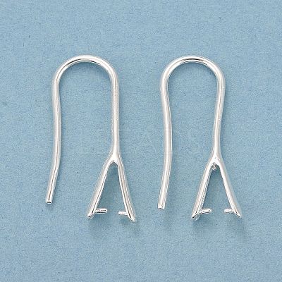 Rack Plating Eco-friendly Brass Earring Hooks LS-KK-D075-14S-RS-1