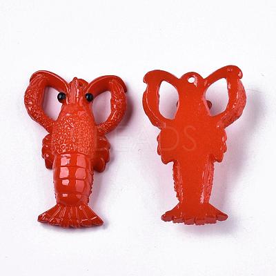 Resin Pendants X-RESI-R426-01-1
