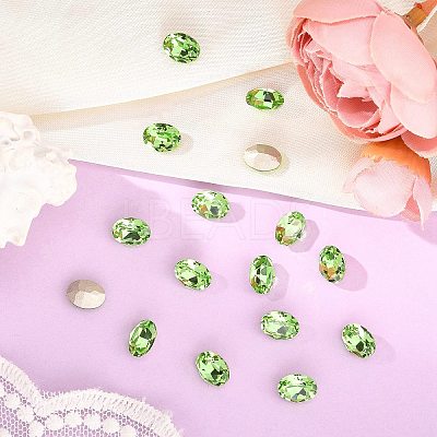 Preciosa&reg MAXIMA Crystal Fancy Stones X-PRC-FF8-50520-1