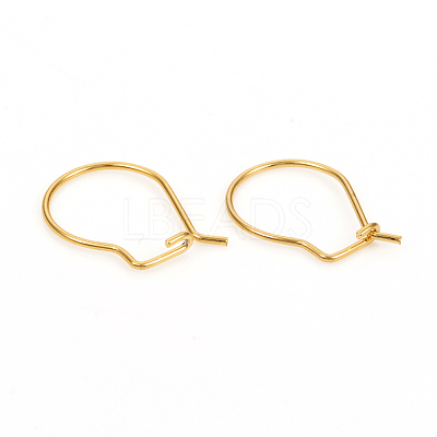 304 Stainless Steel Hoop Earrings STAS-I149-11G-1